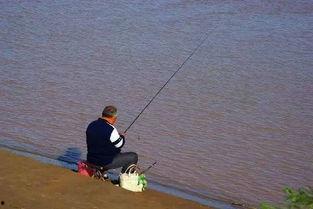 娱乐吃瓜钓鱼视频大全最新,娱乐吃瓜钓鱼视频大盘点，笑料百出，精彩纷呈！